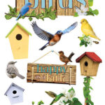 Paper House FREE AS A BIRD 3D Stickers 11 pc