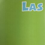 Monster LAS VEGAS Dots 12"X12" Scrapbook Paper 2 pcs.