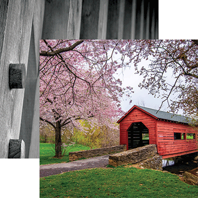 image_3805a983-a1da-4f00-b02a-0ca1e9240627.gif Reminisce Covered Bridges CHERRY BLOSSOMS 12X12 Scrapbook Paper - Image 1