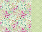 Kaisercraft Fly Free BF 12"X12" Scrapbook Paper