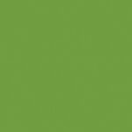 Kaisercraft Cardstock 12"X12" FROG Green Weave