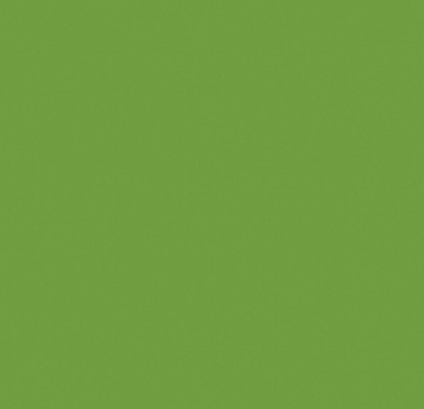 image_4c79f131-65c9-49cd-bf66-91ac21ff5572.jpg Kaisercraft Cardstock 12"X12" FROG Green Weave - Image 1