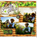 Reminisce GROWING GARDEN Scrapbook Paper Pack 2pc - Image 2