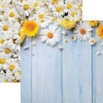 Reminisce Springtime DAISIES 12X12 Scrapbook Sheet