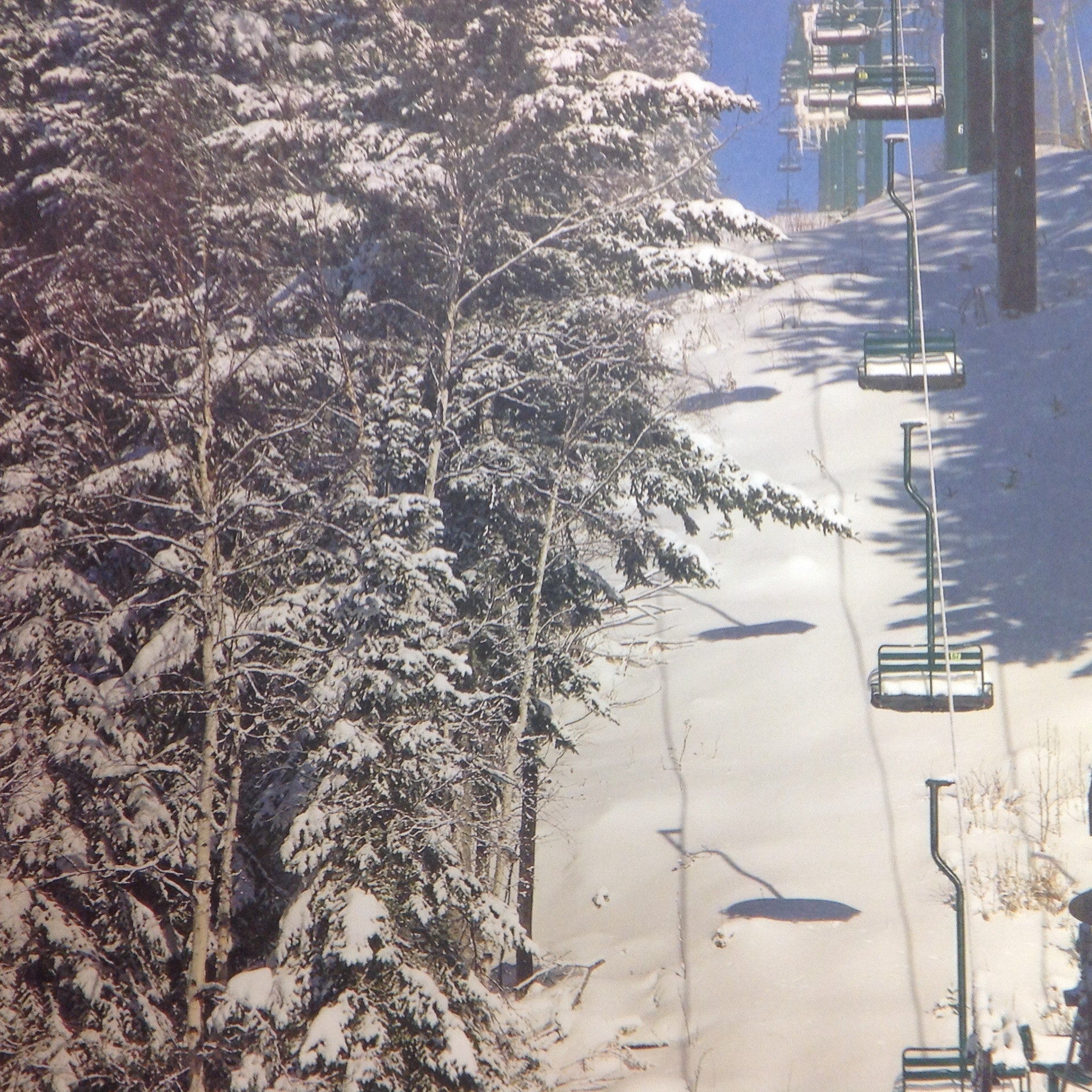 image_77a4fc9e-9cf5-48ad-bf29-7a41ddb43ab6.jpg McRice Photo SKI LIFT 12"X12" Sheet - Image 1