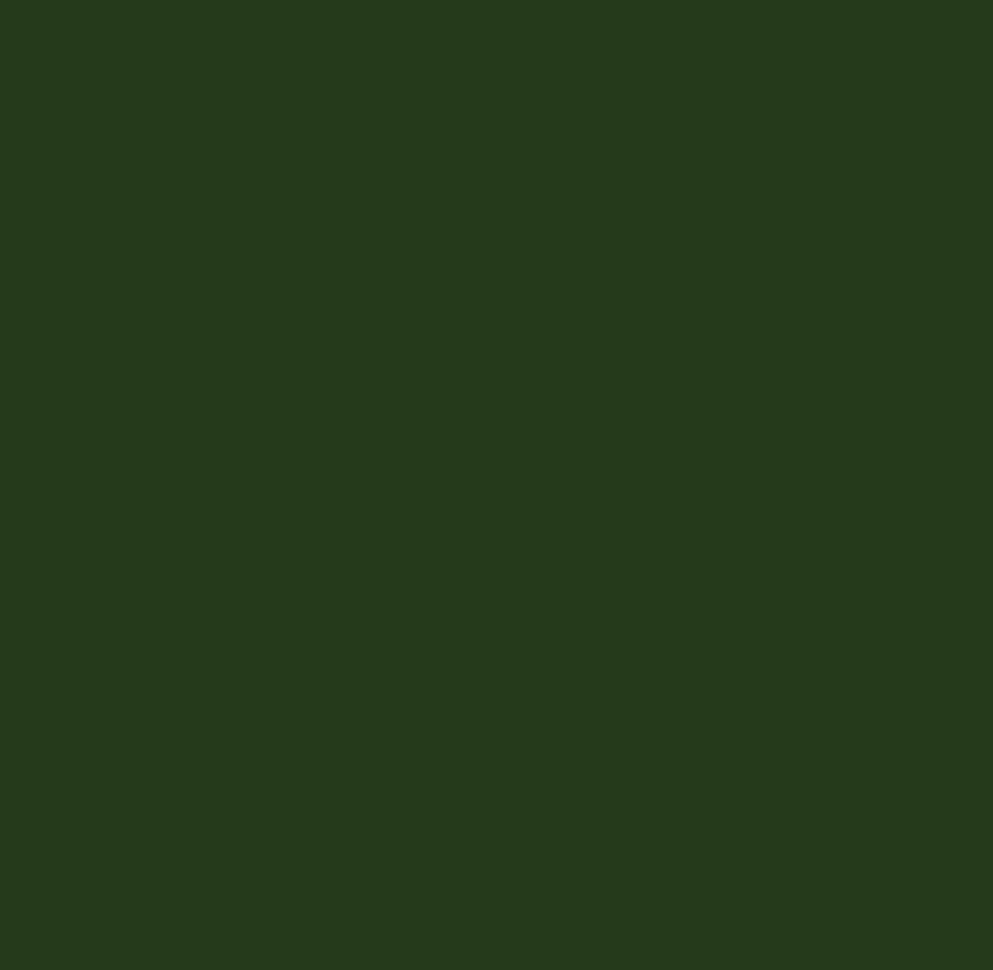 image_80a719e4-0617-4ce6-b49a-ae70ba4c8547.jpg Kaisercraft Cardstock 12"X12" JUNGLE Weave - Image 1
