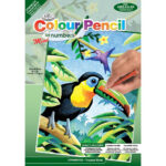 Royal Mini Color Pencil By Number TROPICAL BIRDS Parrot