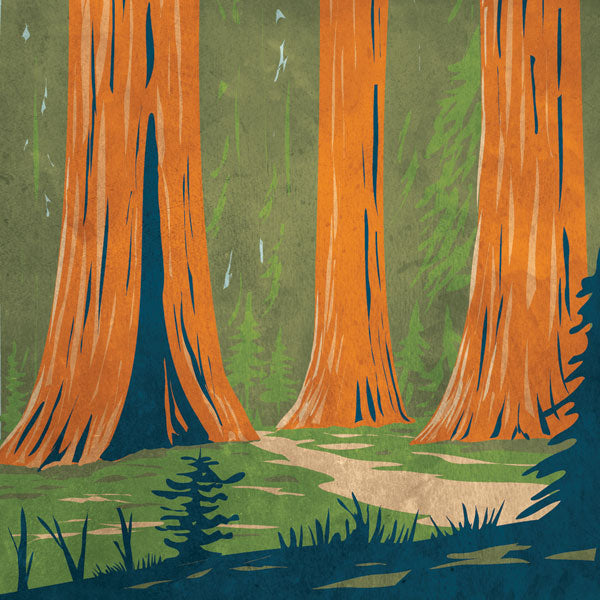 image_8d4fb442-70fc-4484-b449-caf60f67de32.jpg CALIFORNIA SEQUOIA 12"X12" Scrapbook Paper - Image 1