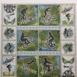 Feature Art TEENAGERS Skateboarding & BMX Bikes Kit - Image 10