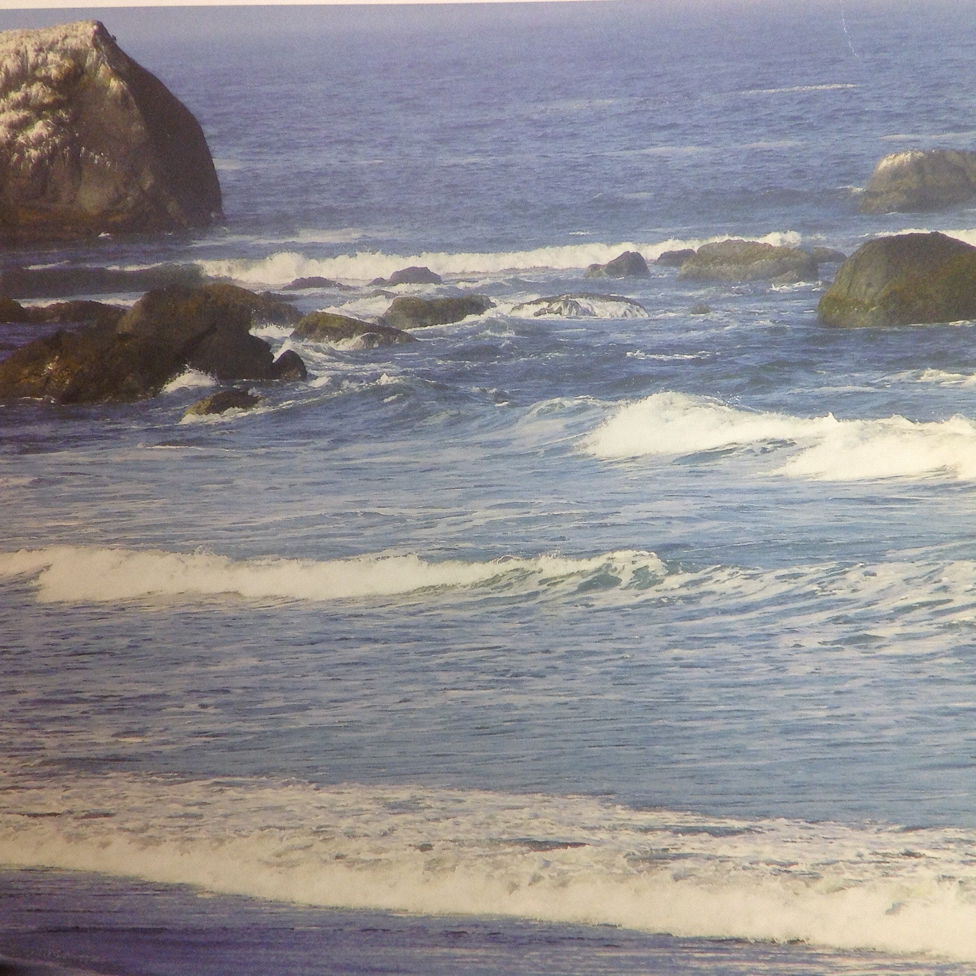 image_9b175b82-a639-42c0-8be5-4f0b5c5f040c.jpg McRice Photo PACIFIC COAST 12"X12" Sheet - Image 1