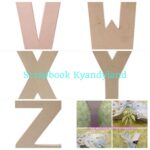 Darice Paper Mache Alphabet Letters V-Z 5.5"X8" - Image 6