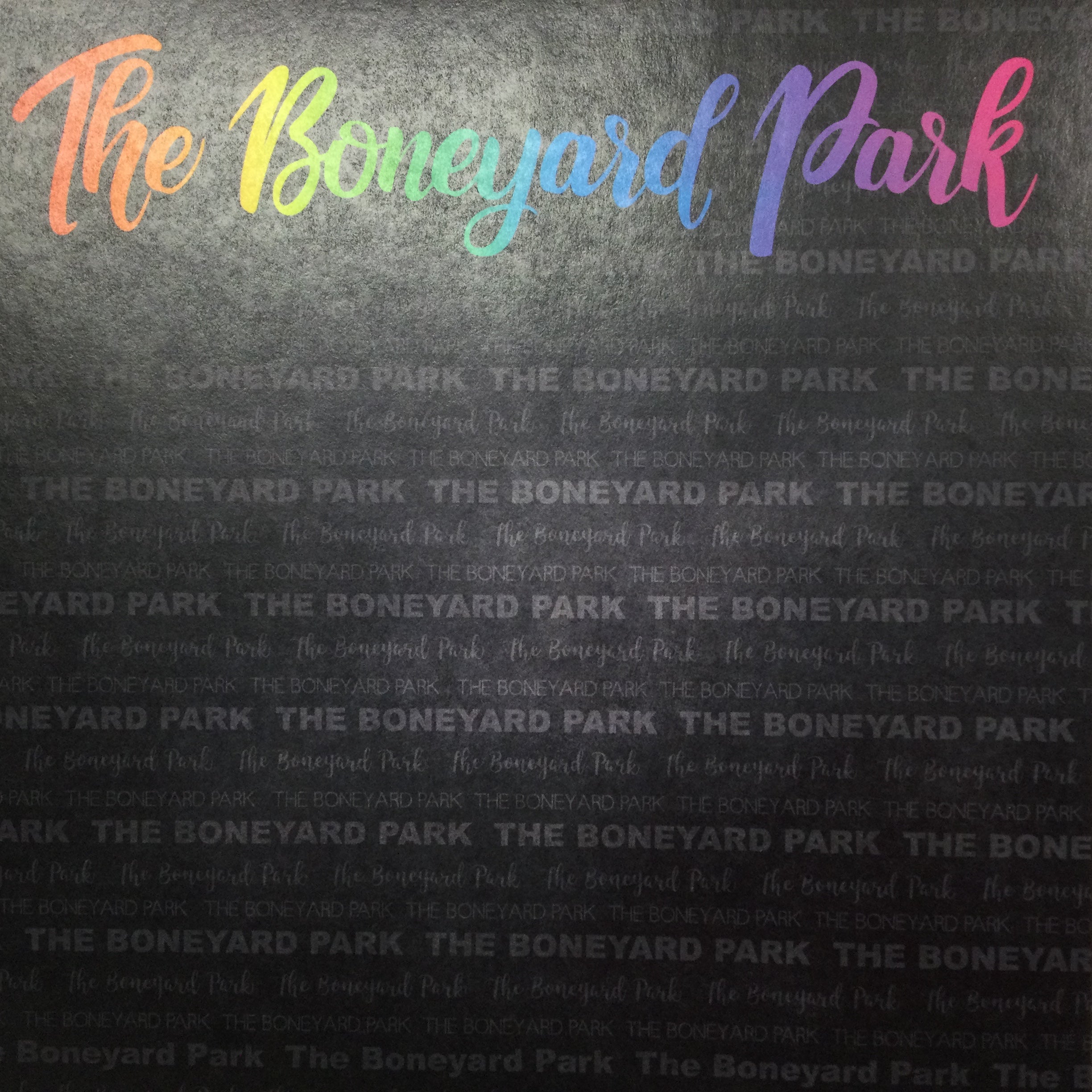 image_a2c7f98d-d595-44f6-a93d-1267f8ee4ecc.jpg Neon THE BONEYARD PARK Museum 12"X12" Travel Scrapbook Paper - Image 1