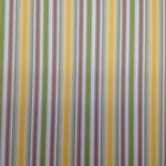 Queen & Co WILD THINGS STRIPE 12x12 Scrapbook Paper