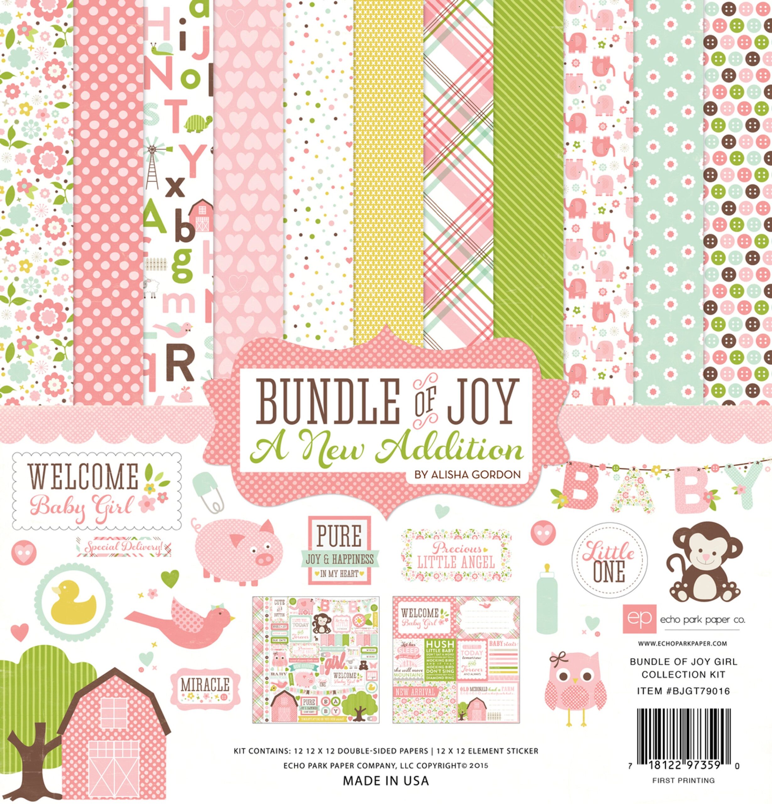 image_a5b4cdb0-e773-470d-b6f8-cfbc090abada.jpg Echo Park Bundle of Joy NEW ADDITION GIRL 12"X12" Collection Kit - Image 1