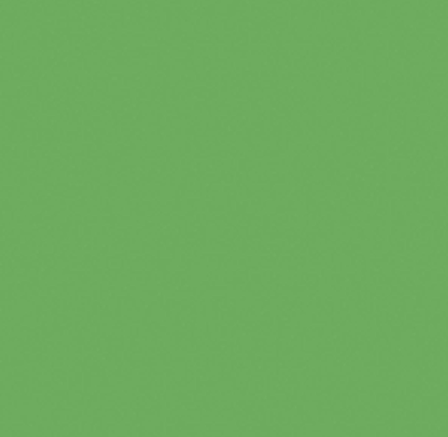 image_b50c2add-822f-4cc8-92f8-dde067ac6c75.jpg Kaisercraft Cardstock 12"X12" LIME Green Weave - Image 1
