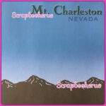 Mt. CHARLESTON Nevada Estes 12"X 12" Scrapbook Travel Paper