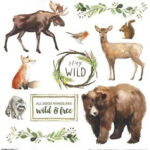 National Park NPWC STAY WILD CUT OUT 12"X12" Paper