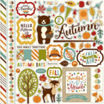 Echo Park Fall Is In The Air ELEMENT STICKERS 12”X12” Sheet