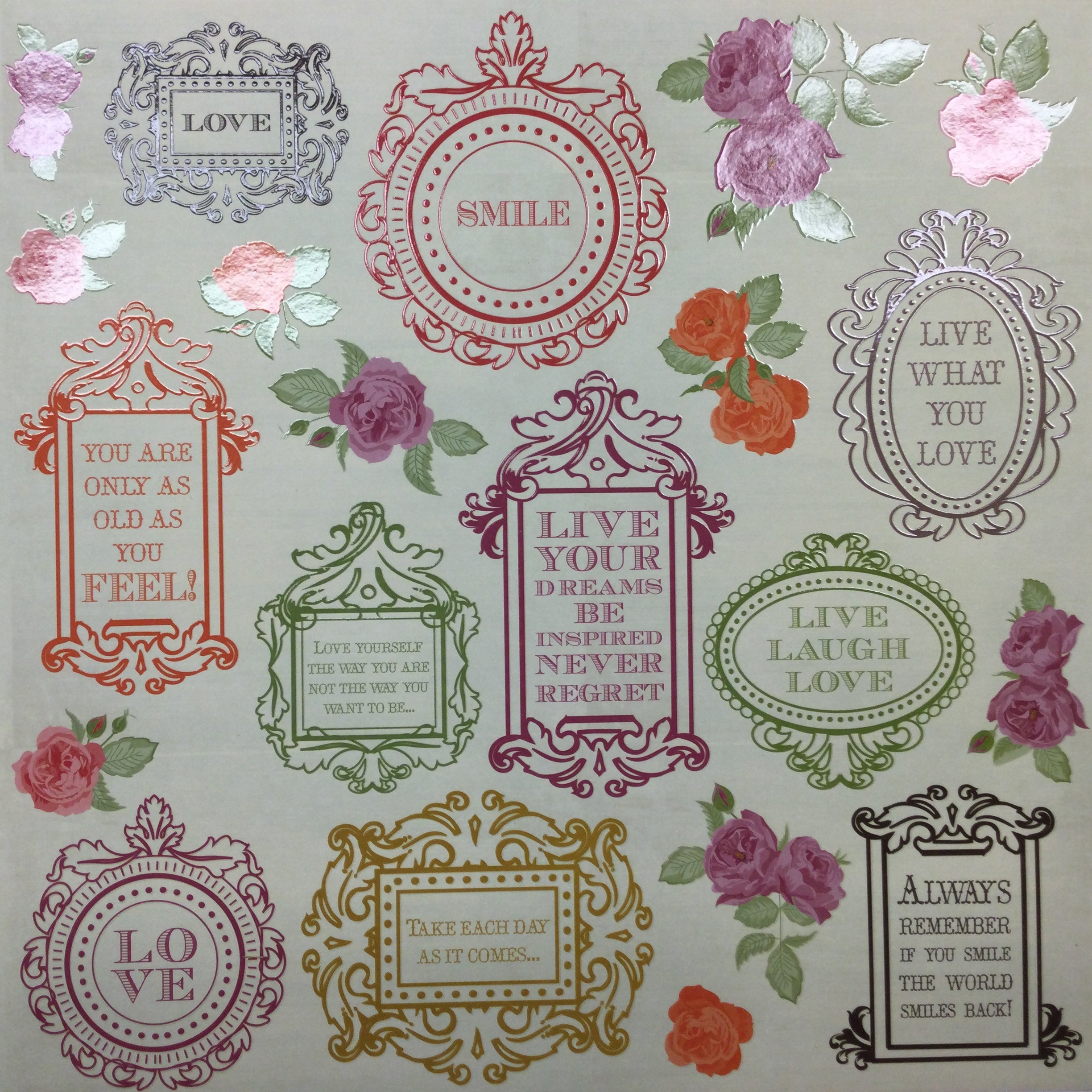 image_d78fdfe3-b596-456f-8041-55b860d246bc.jpg Kaisercraft Flora Delight FRAME IT 12"X12" Gloss Paper - Image 1