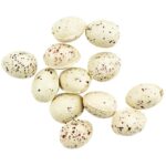 Touch Of Nature MINI BIRD EGGS 12pc - Image 2