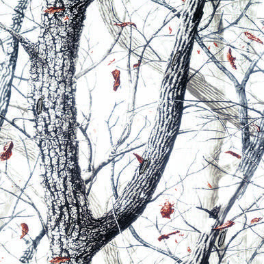 image_e4457a37-104b-4923-b2fe-93d8a1f430db.jpg Papers Best RTSN01 Camouflage 1 Sheet 12"x12" Camo - Image 1
