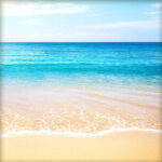 TROPICAL BEACH Companion Sheet 12"X12" Scrapbook Paper