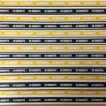 GOLDEN KNIGHTS True To Your Mascot 12"X12" Cardstock Sheet LV