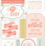 Echo Park IT’S A GIRL Chipboard Phrases 22pc