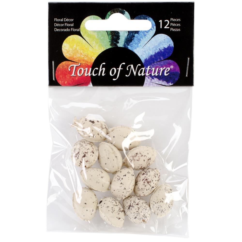 image_f0dbf480-4f0d-4ed6-9bc7-bbf85a1ee5e6.jpg Touch Of Nature MINI BIRD EGGS 12pc - Image 1