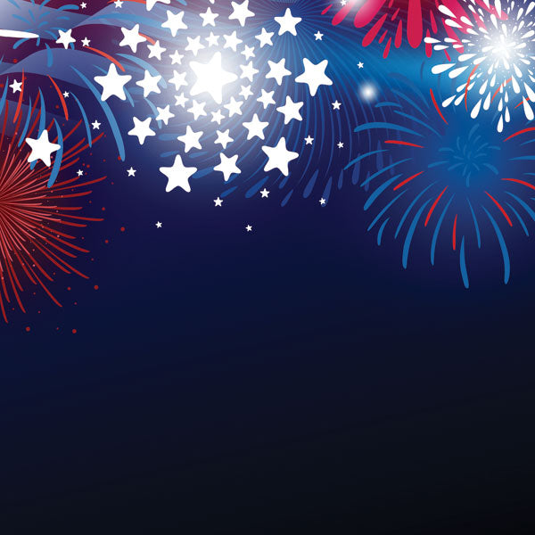 image_f73fd11f-ef0f-4295-a7d2-b8cc1bea904e.jpg FIREWORKS AT NIGHT 4th of July 12"X12" Scrapbook Customs Paper - Image 1