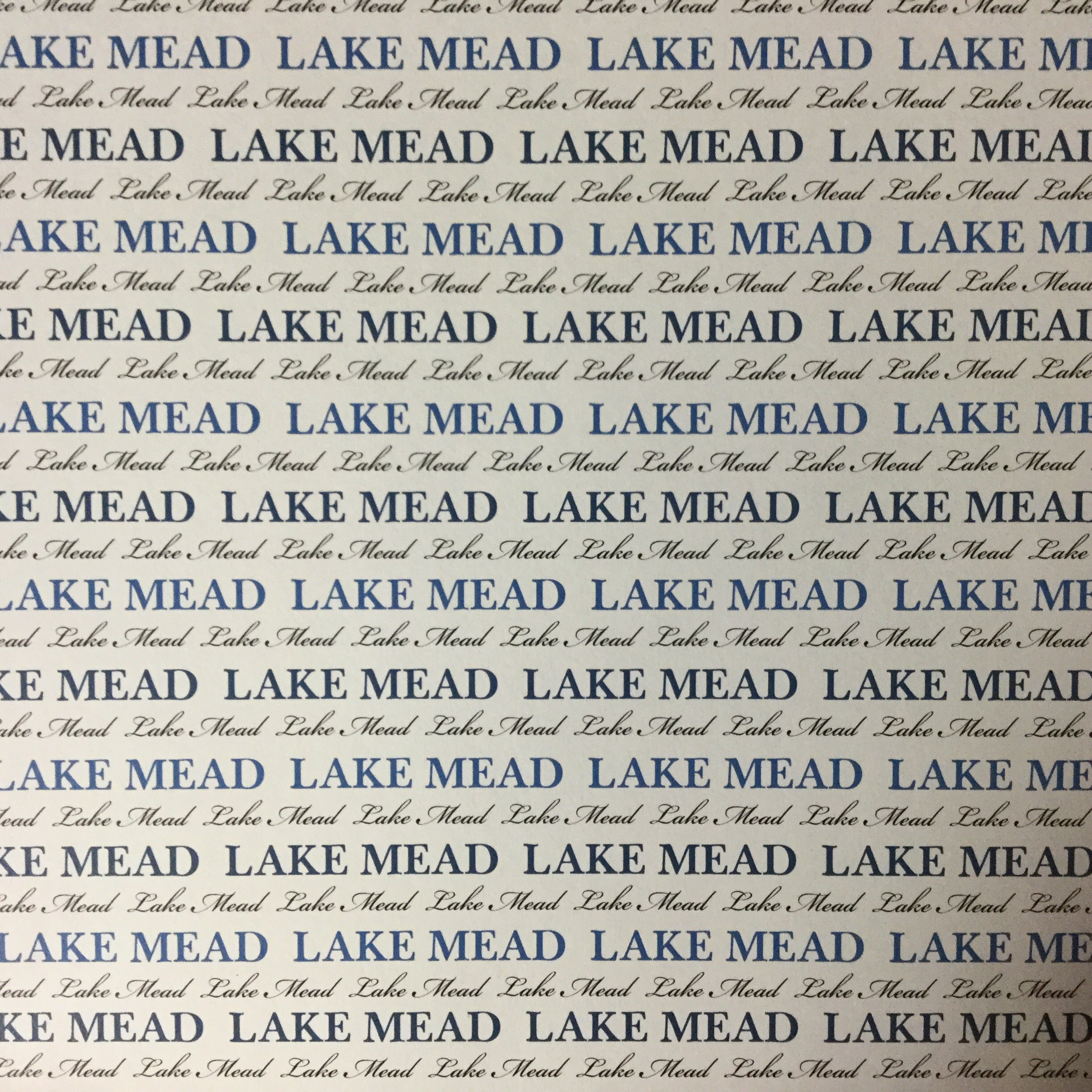 image_f904e9fb-15bf-4a16-97d2-5d547e51fe90.jpg LAKE MEAD Pride 12x12 Scrapbook Paper - Image 1