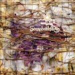 Scrapbooksrus VELVET THREADS 12"X12" Scrapbook Paper Pack - Image 9
