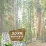 Scrapbook Customs SEQUOIA KIT Papers and Stickers National Park - Image 3