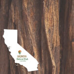 Scrapbook Customs SEQUOIA KIT Papers and Stickers National Park - Image 4