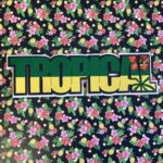 Scrapbook Customs TROPICAL GREEN Flag Word Title