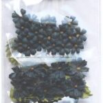 49 and Market ROYAL POSIES MIDNIGHT Handmade Paper Flowers 9pc